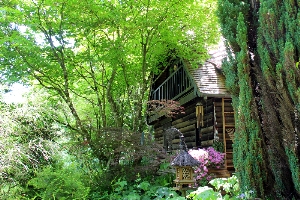 Arboretum de la Martinière 