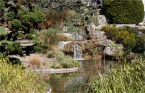 
			 Jardin Botanique Tours