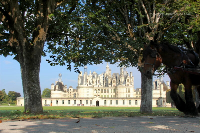 Chambord 