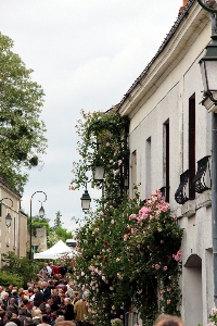  Roses de Chédigny