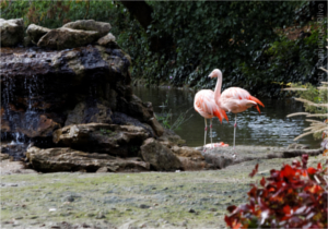 
			 jardin Botanique Tours 