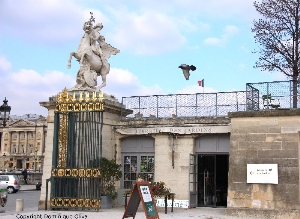 librairie des Tuleries