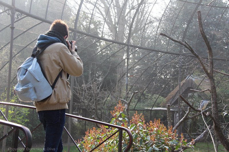 menagerie jardin des plantes 