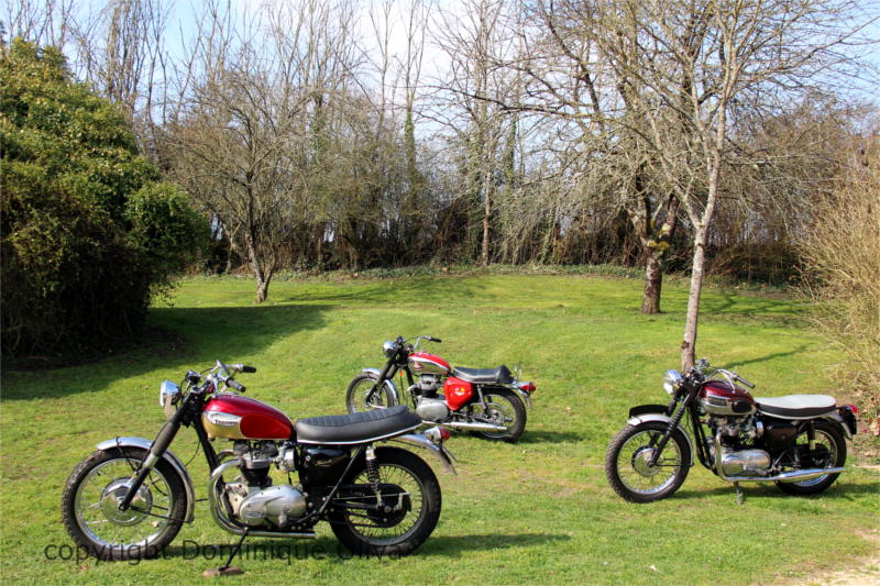 Les motos Anglaises 