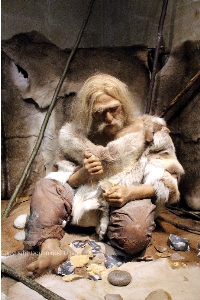 Expo Neandertal